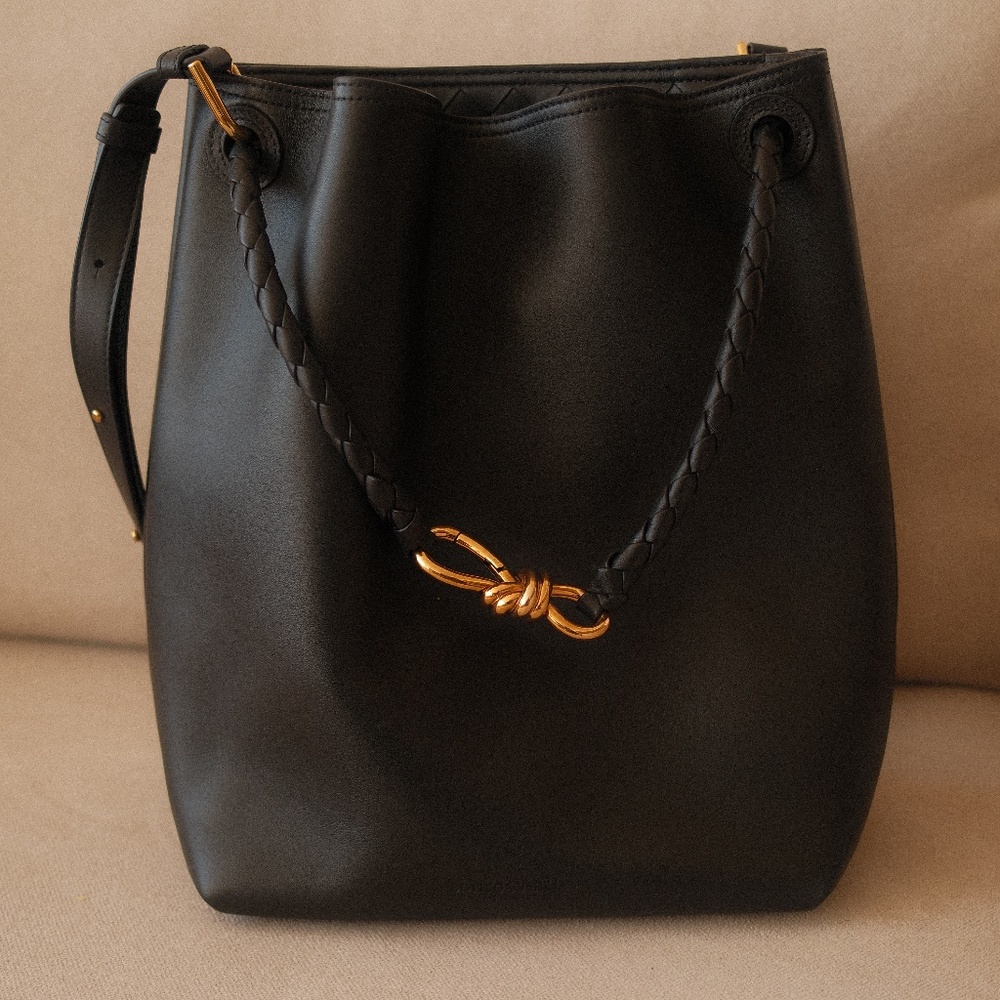 Bottega Veneta Andiamo Bucket Bag